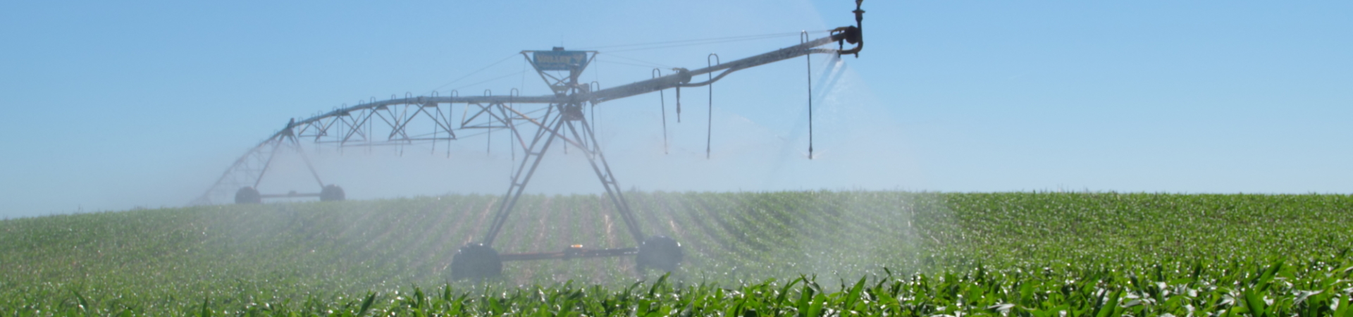 Center pivot irrigating a corn crop