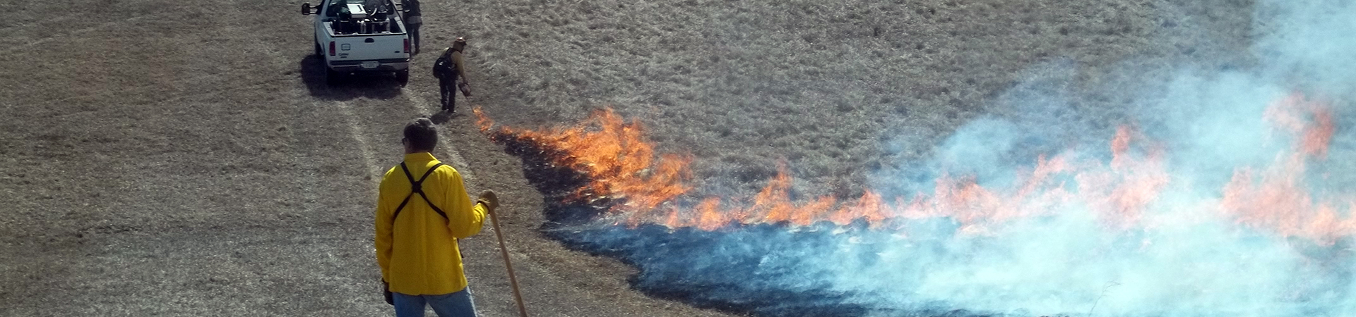 Photo of prescribed field burn