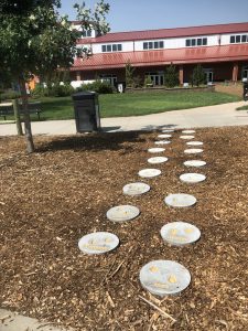 Stepping stones at Outdoor Learning Center