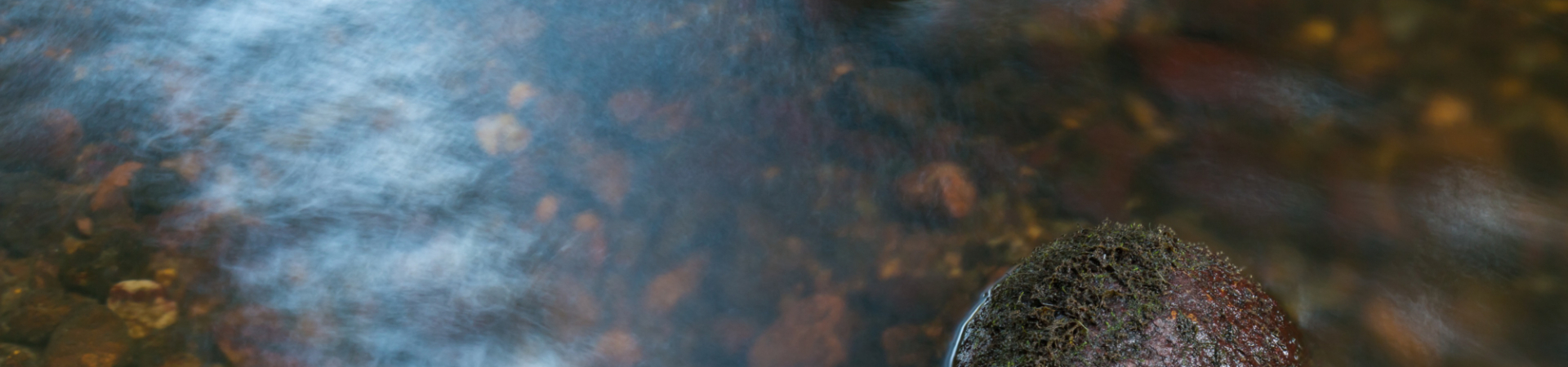 Close up photo of river water