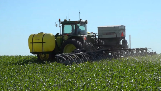 Tractor in corn field